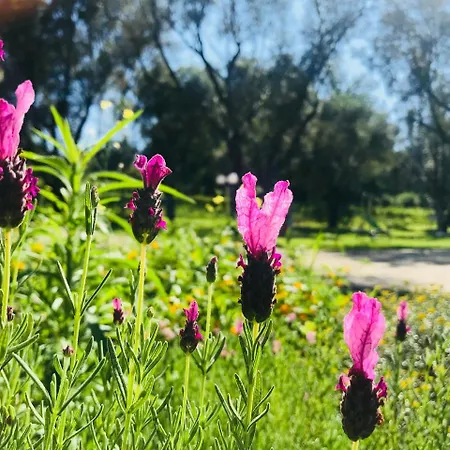 Park & * Bagnara Calabra