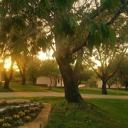 Park &