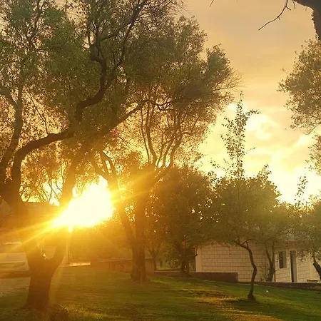 Lejlighedshotel Park & *