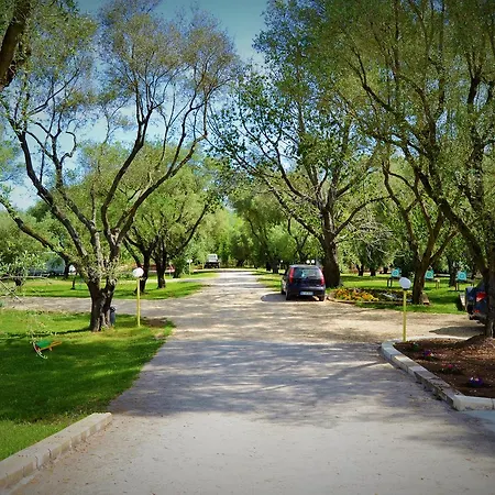 Park & Bagnara Calabra