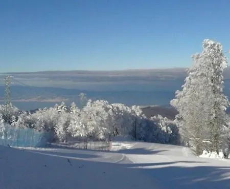 Park & 아파트호텔